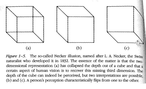 necker-illusion-marr